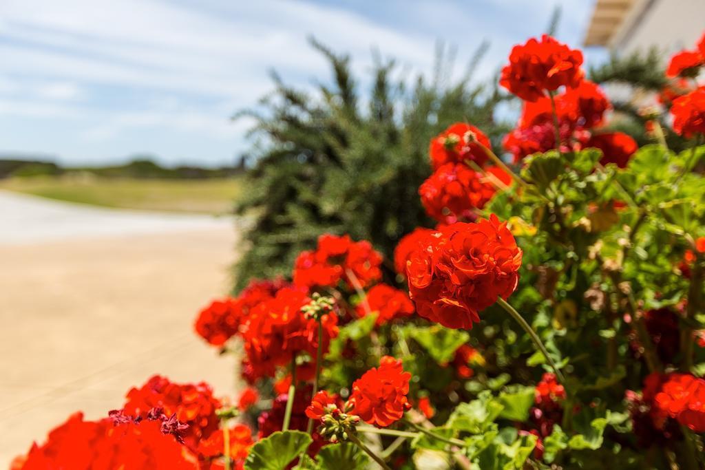 Cottages For Couples Port Fairy Exterior photo